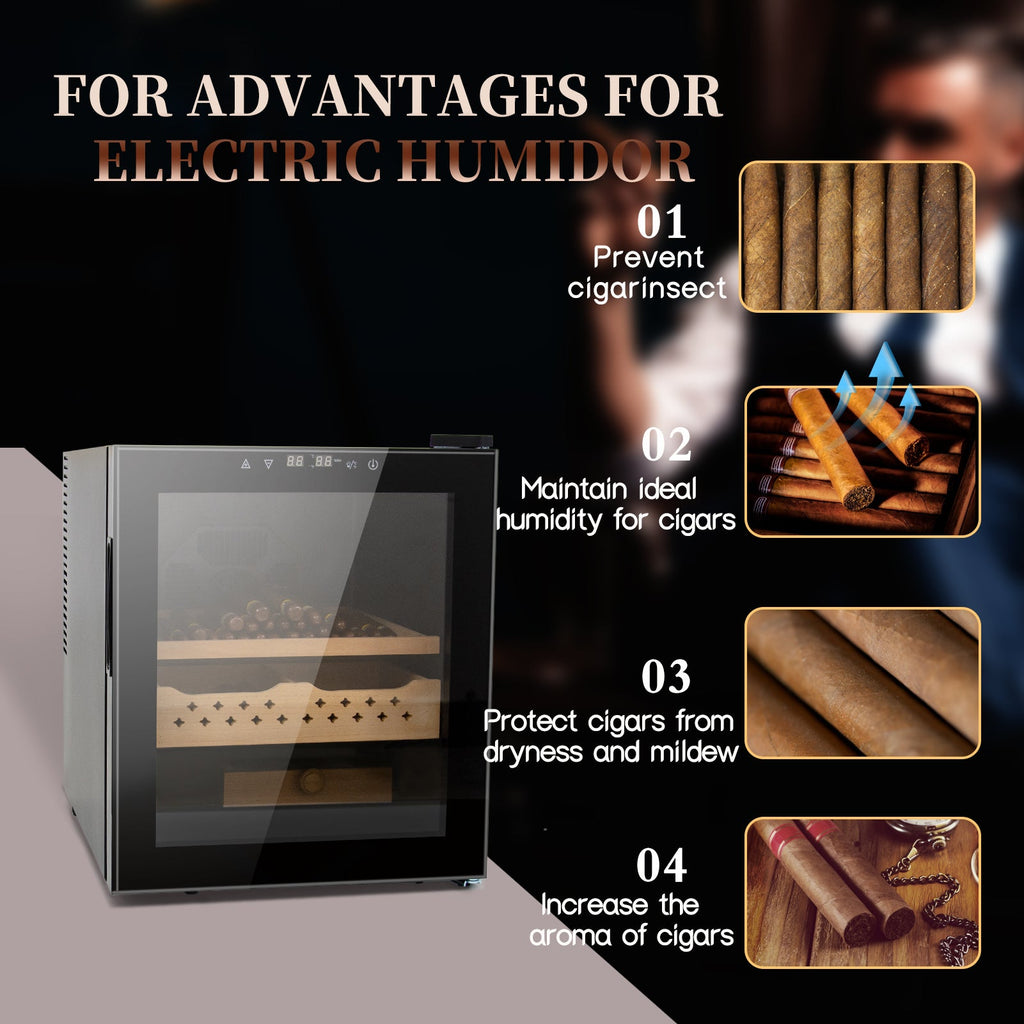 250 Counts Cigar Humidor