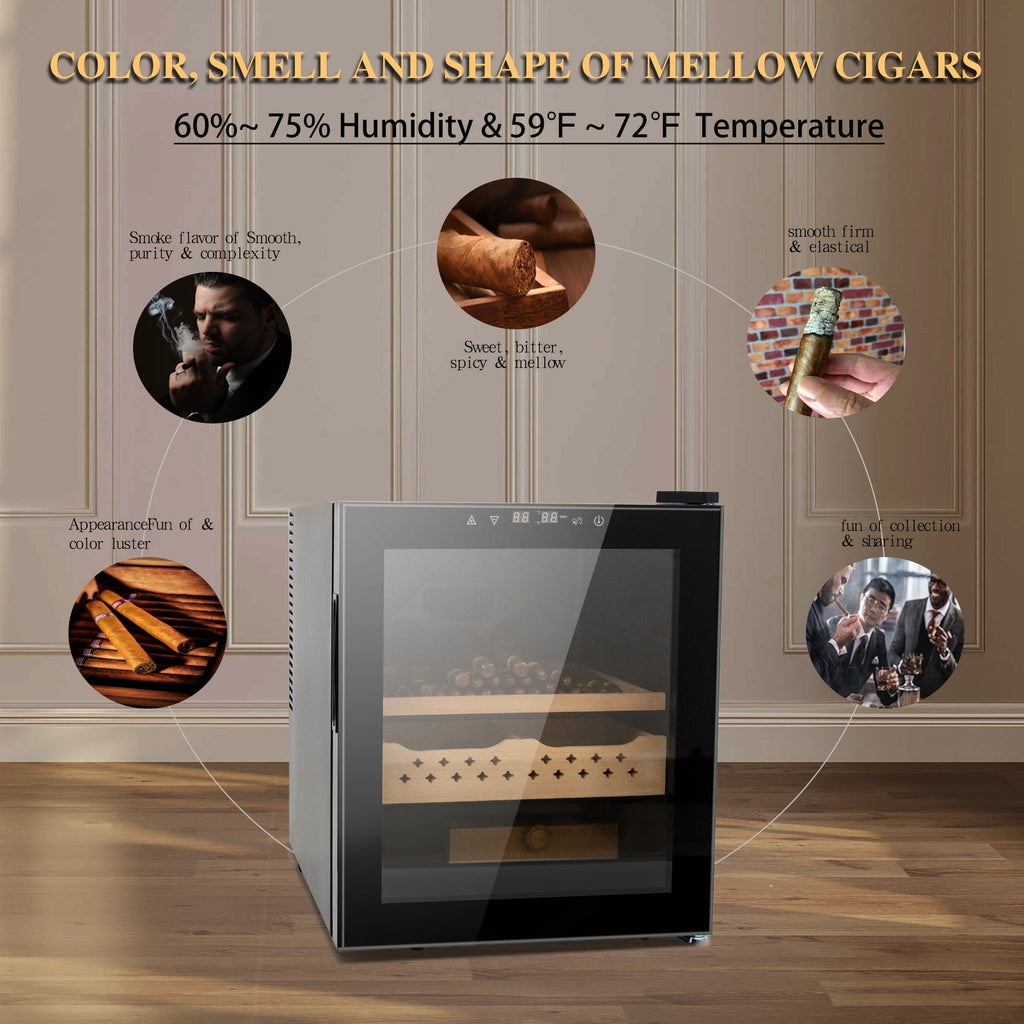 250 Counts Cigar Humidor