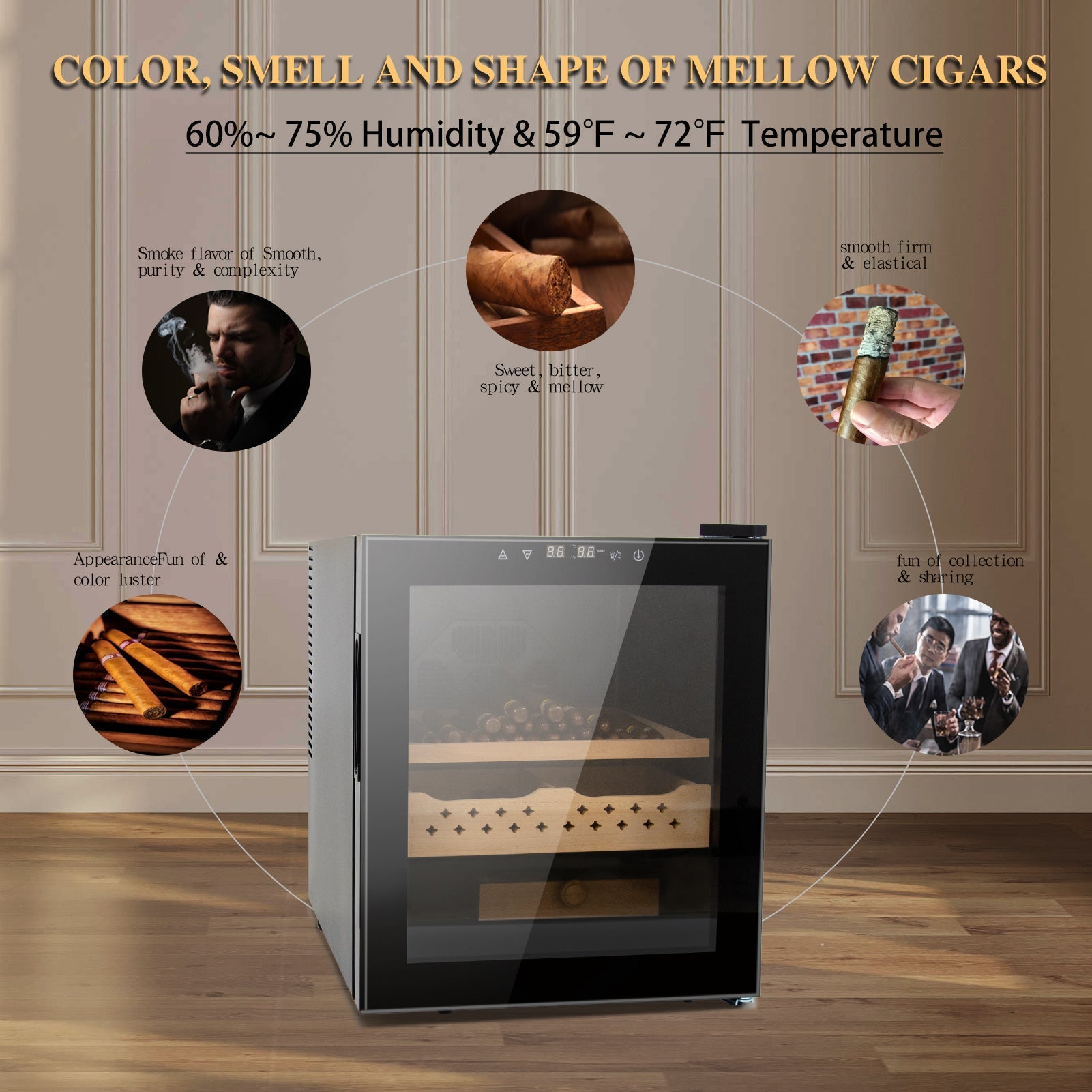 250 Counts Cigar Humidor